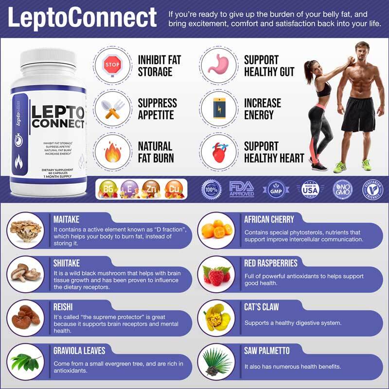 Leptoconnect Ingredients